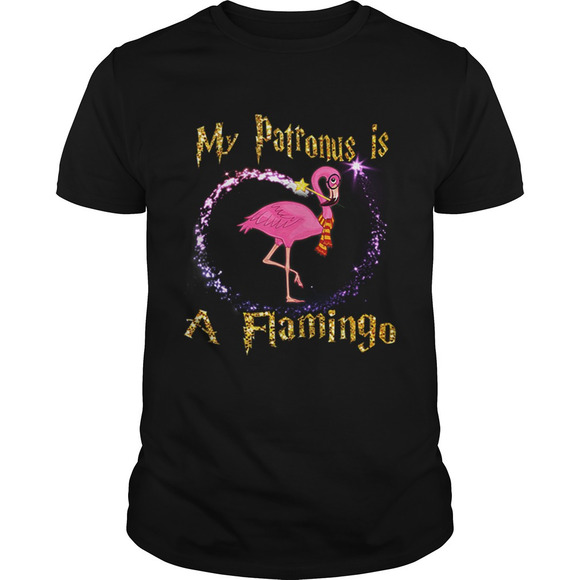 Other - My Patronus Is A Flamingo Magic Gifts Shirt